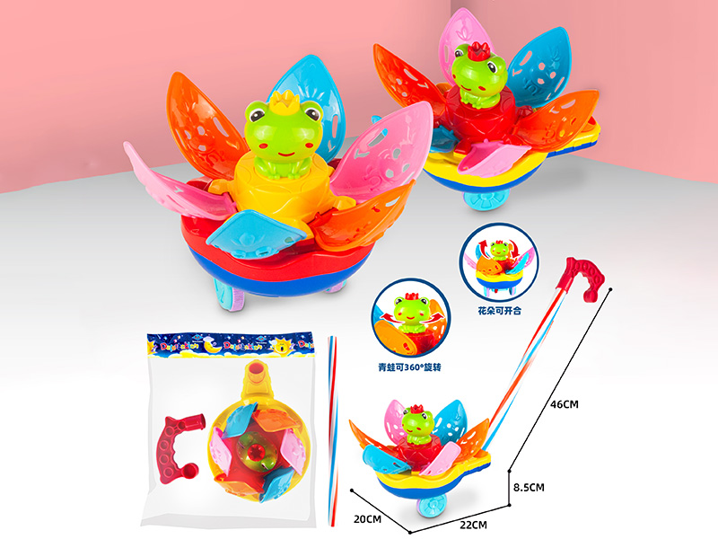 Hand Push Lotus Frog Toy