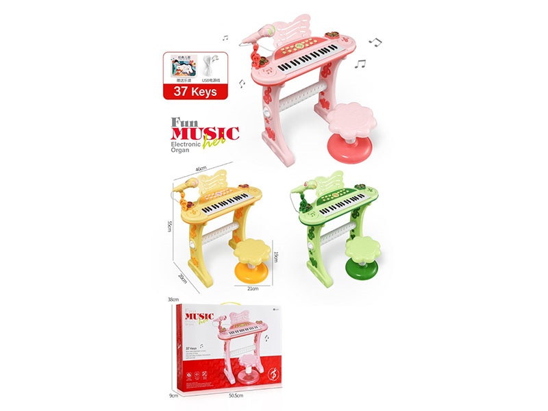 37-Key Multi-Functional Electronic Organ