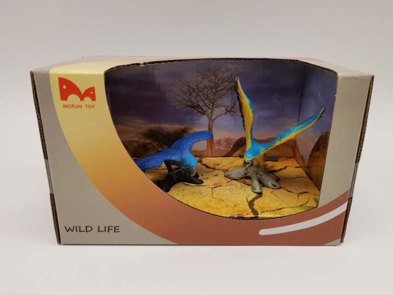 Macaw + Parrot Model