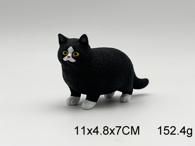 Black Cat Model