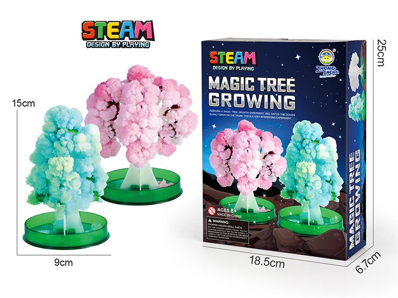Magic Tree Growing Science Experiment