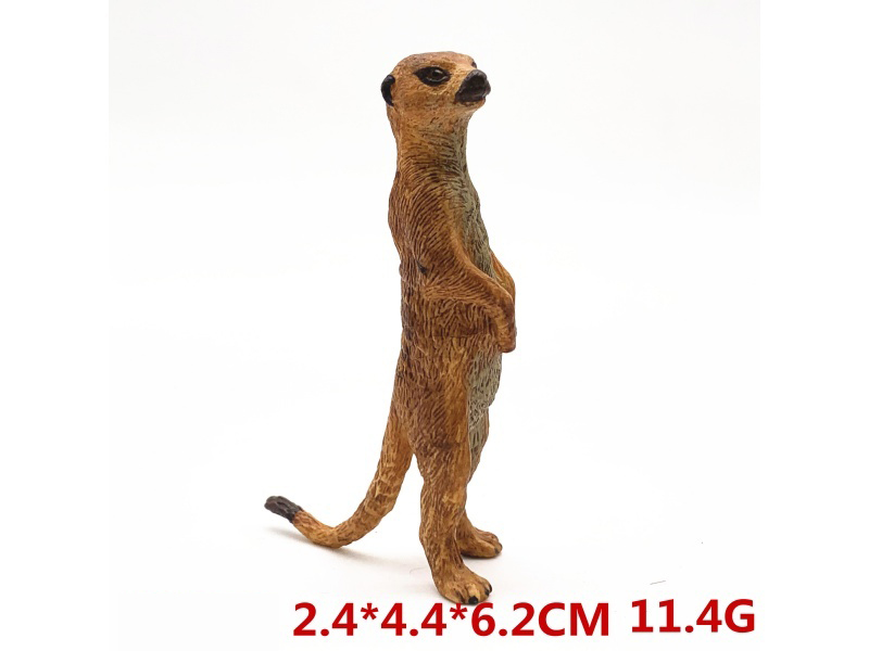 Standing Meerkat