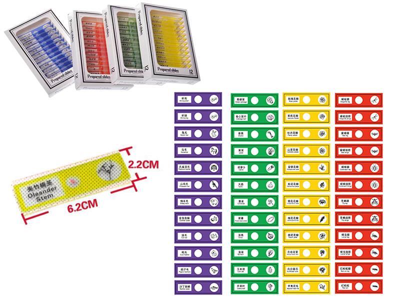 Vegetable/Plant/Insect/Animal  Specimen Slice