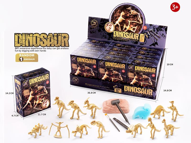 DIY Archaeological Toy(Dinosaur)12PCS
