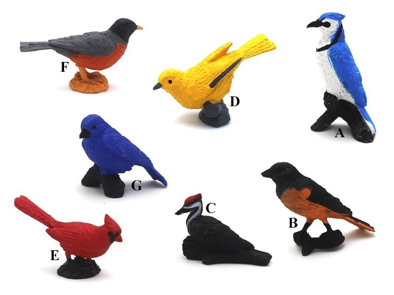 7 Mini Birds (A Bluebird +B Oriole +C Red-Crowned Black Woodpecker +D Oriole +E Main Red Finch +F Robin)
