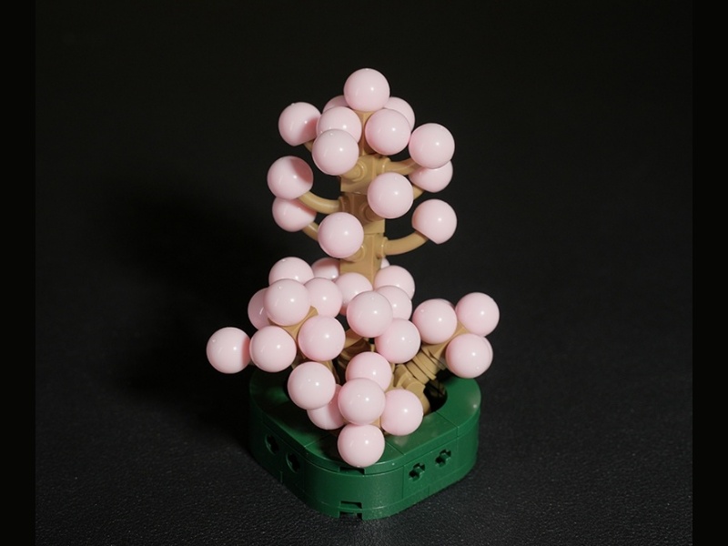 Plant Building Blocks