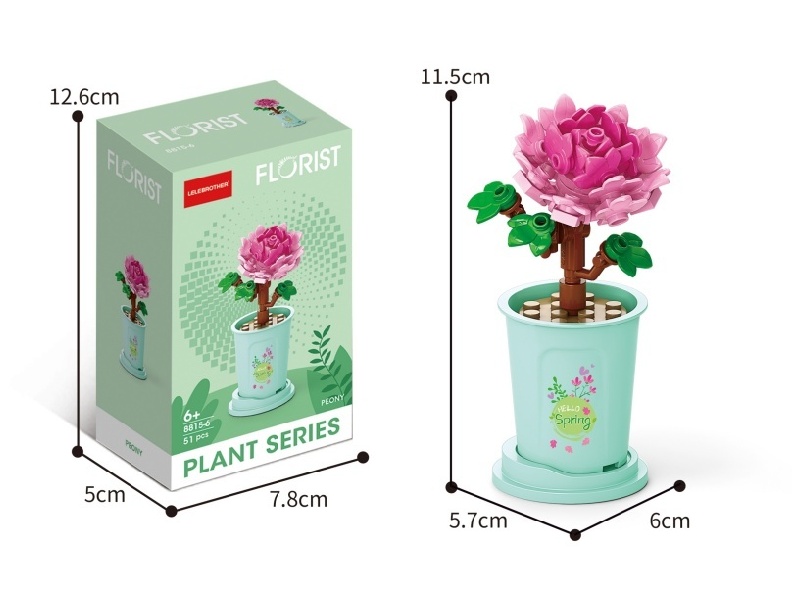 51 Pcs Of Guyu Peony