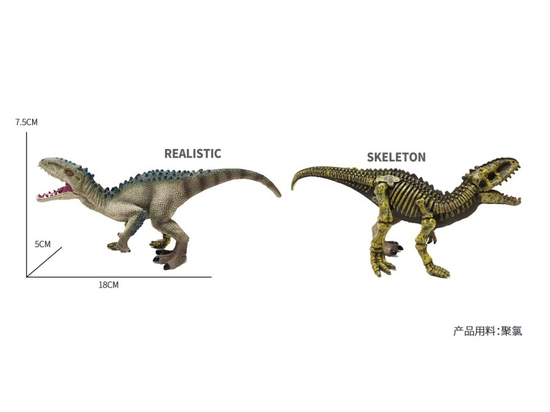 Semi-Skeleton - Yongchuan Dragon Simulation Dinosaur Toy