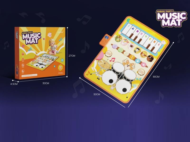 Two-In-One Music Blanket