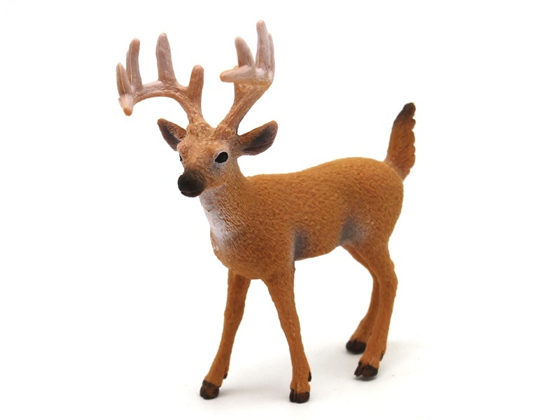 Male White-Tailed Deer (Thick-Faced)
