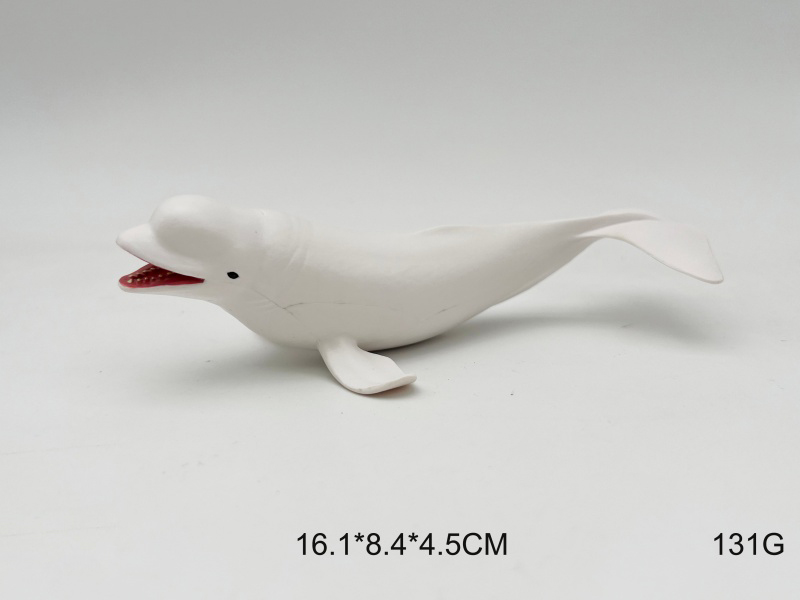 Little White Whale Model