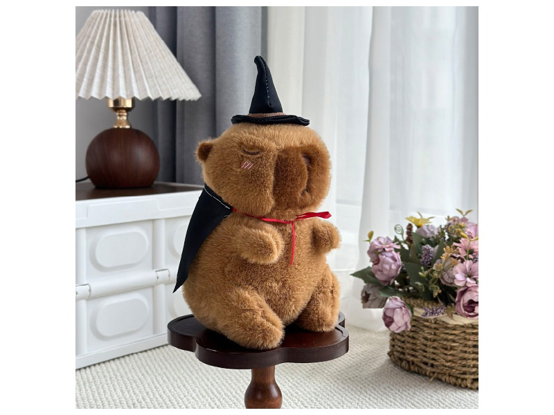 Little Dolphin The Magician