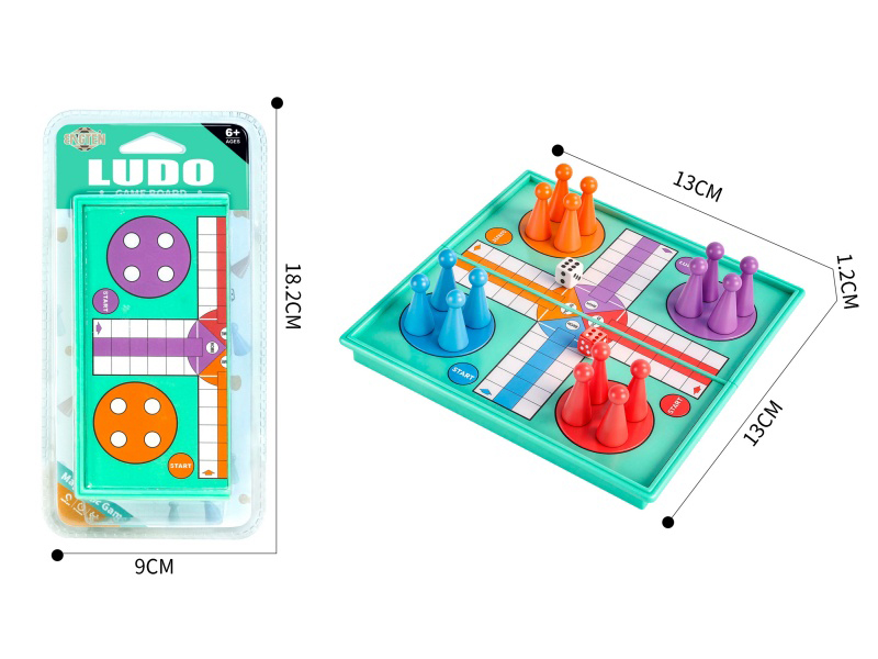 Magnetism Ludo Game