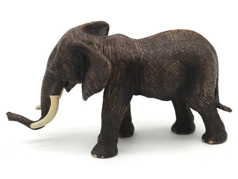 Female African Elephant