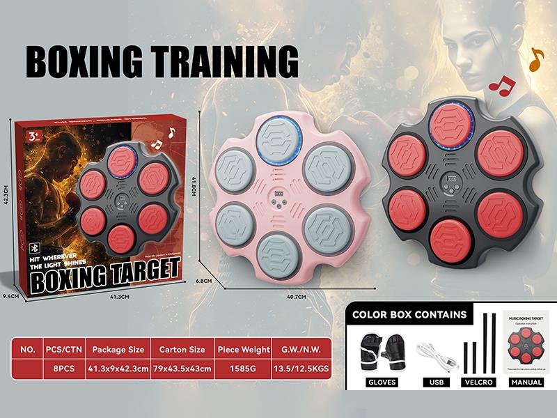 Boxing Target(With Gloves)