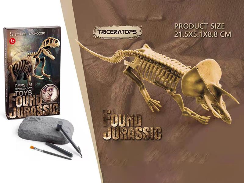 Dinosaur Fossil Archaeological Toy