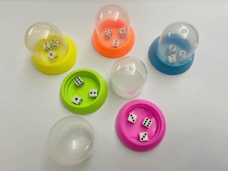 Play Dice Toy