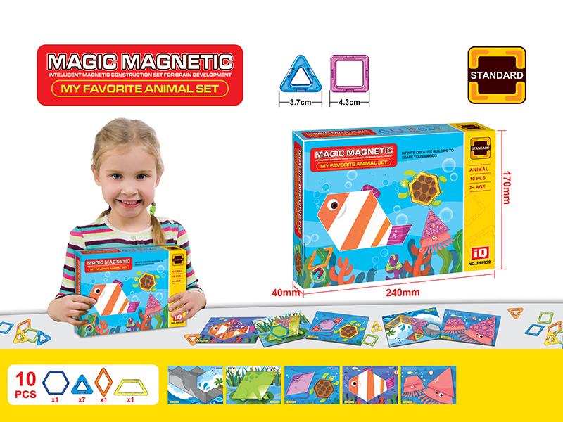 Magnetic Building Blocks(10PCS)