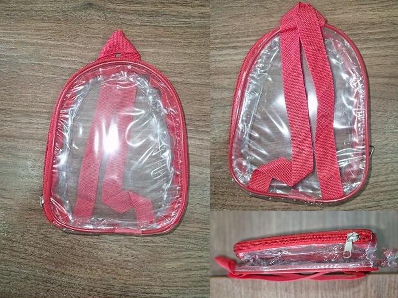 Transparent Backpack