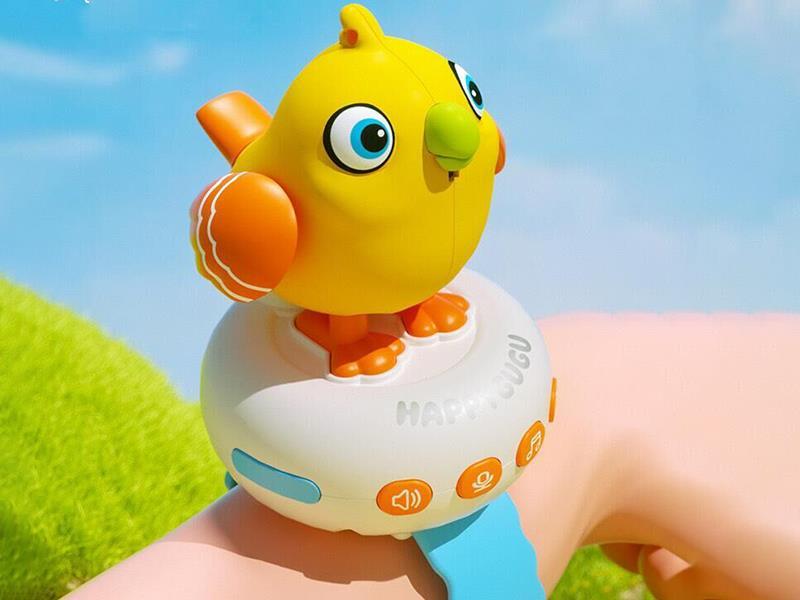 Bird Recording Watch