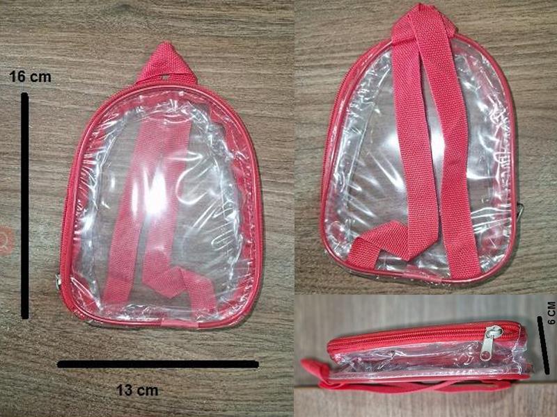 Transparent Backpack