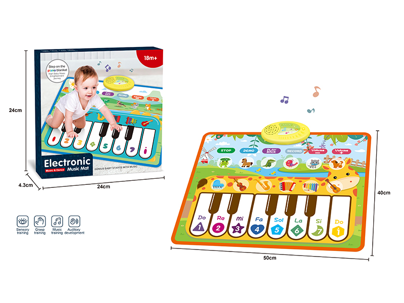 Giraffe Piano Music Mat