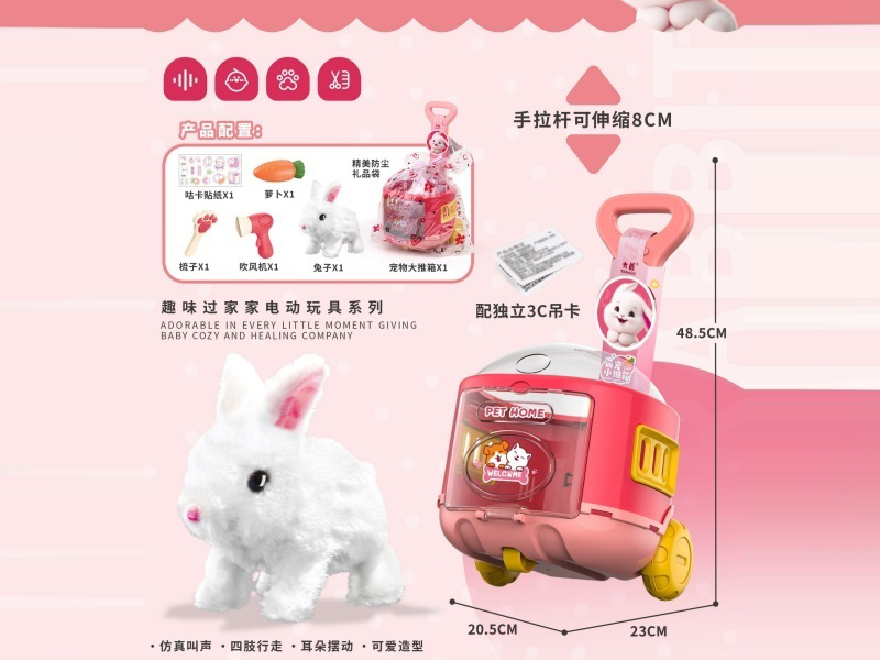 Cute Pet Recommendation Box