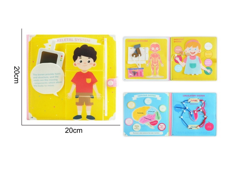 Montessori Early Education And Intelligence For Children - Blue Felt Human Body Book