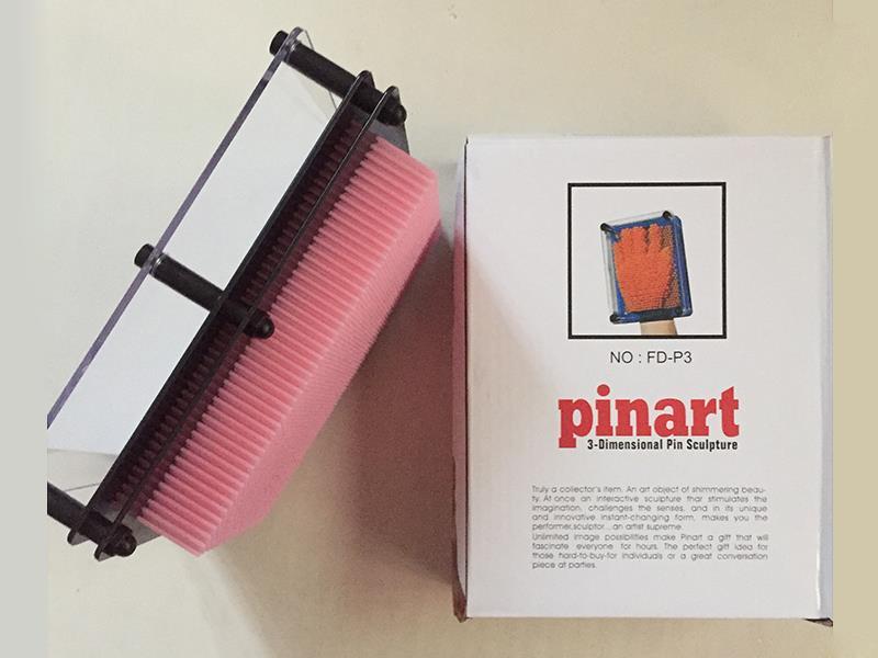 3-Dimensional Pin Sculpture