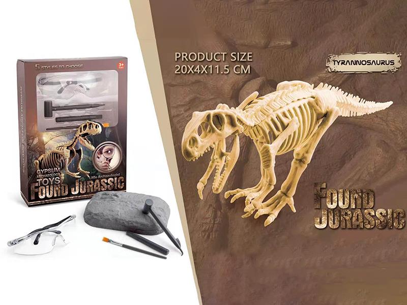 Dinosaur Fossil Archaeological Toy