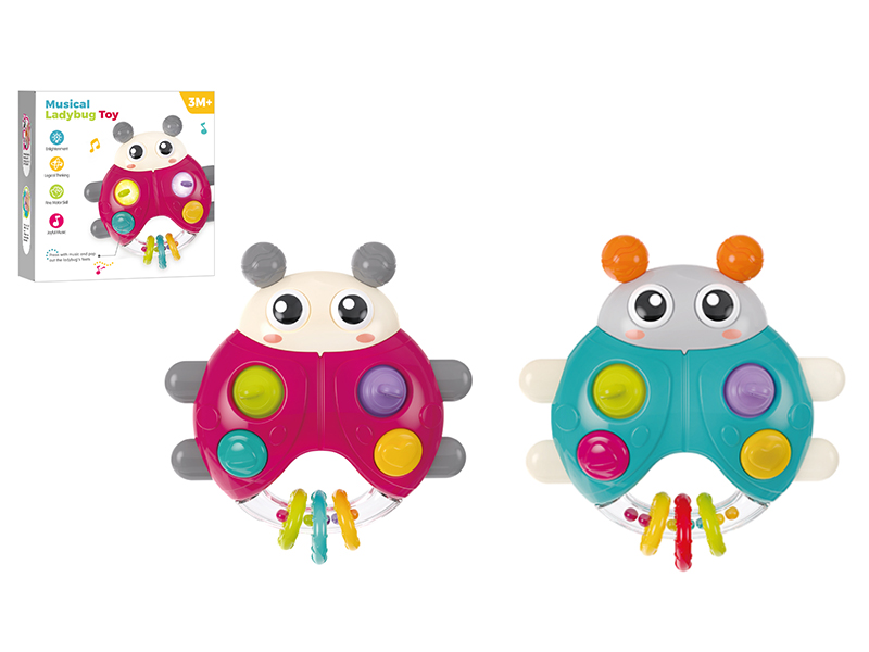 Musical Ladybug Toy