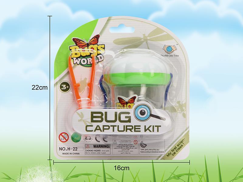 Insect Toy