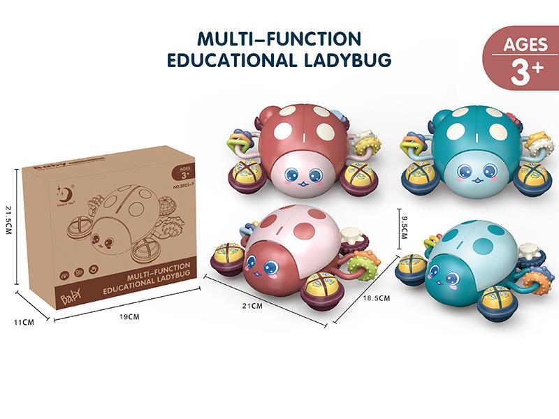 Multi-Function Educational Ladybug (Slide,Light And Music)