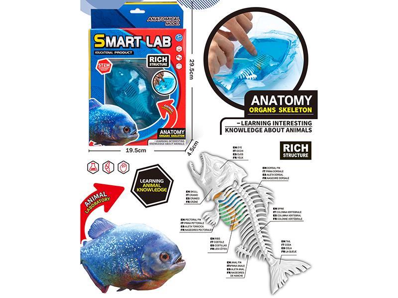 Displaning Lab Set + Shark (Glow-In-The-Dark Bones)