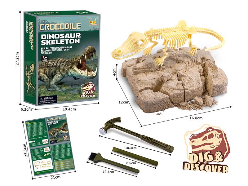 Crocodile Skeleton Archaeological Dig Set