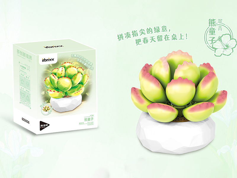 Plant Series Small Particle Building Blocks - Cotyledon Tomentosa 50PCS