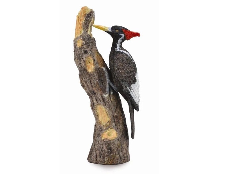 Woodpecker
