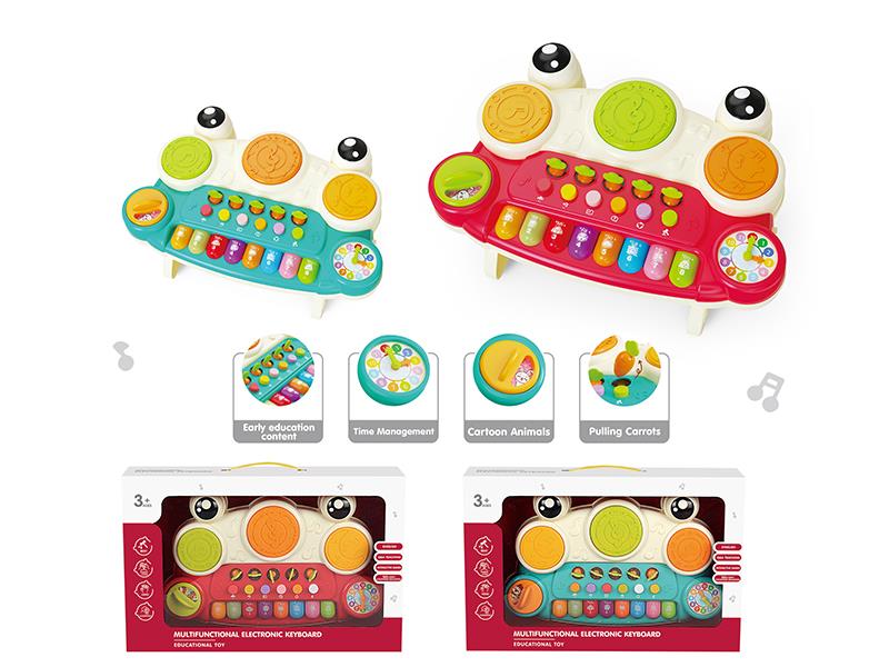 Multifunctional Electronic Organ