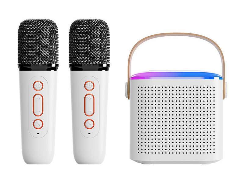 Wireless Bluetooth Portable Speaker(Double Microphone)High Configuration