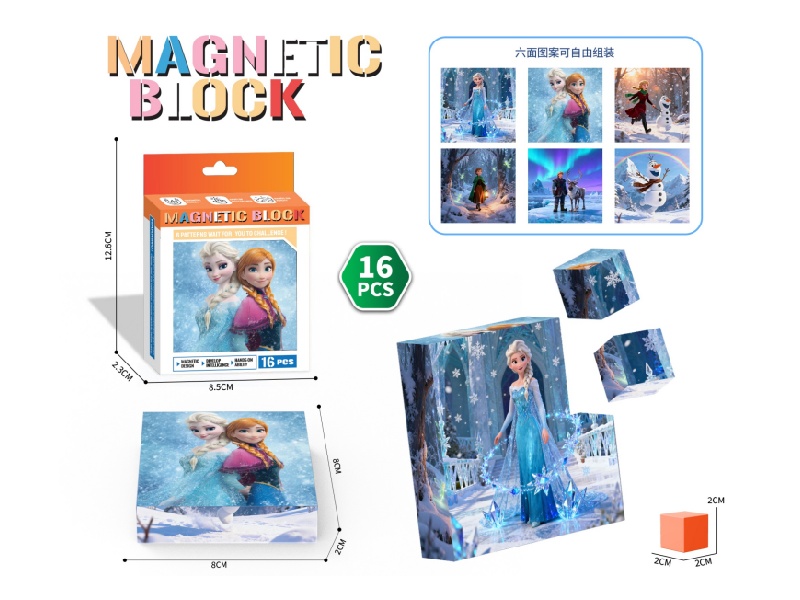 Frozen Magnetic Cube Puzzle