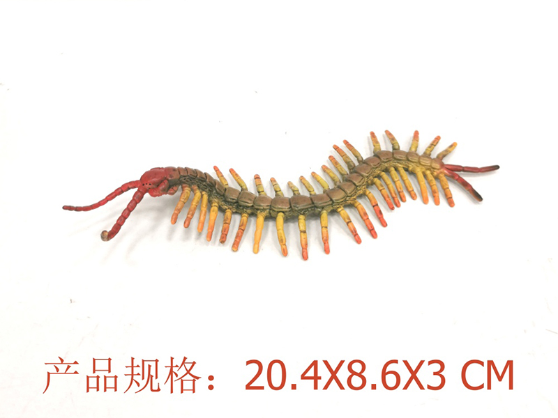 Centipede Model
