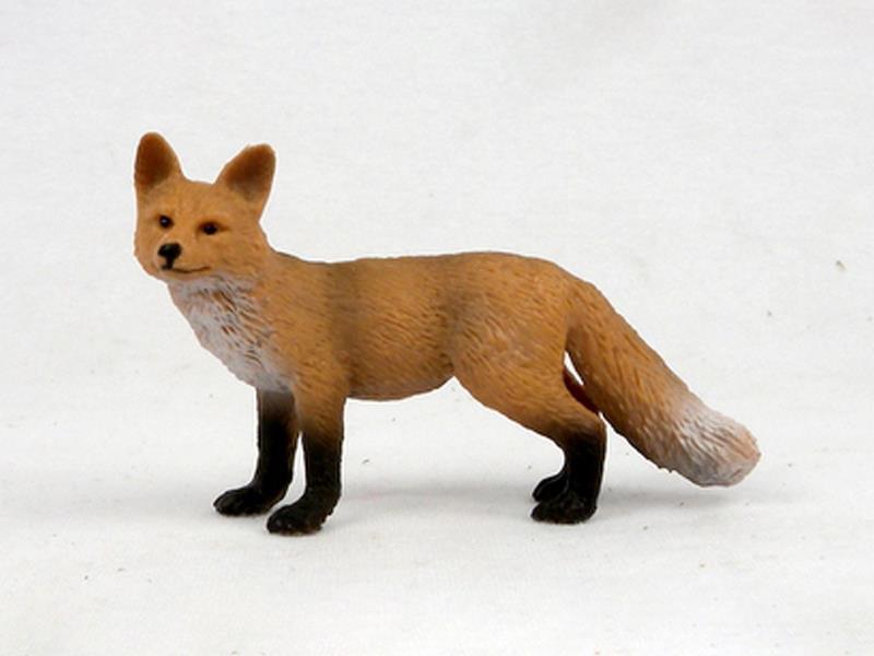 Big Red Fox