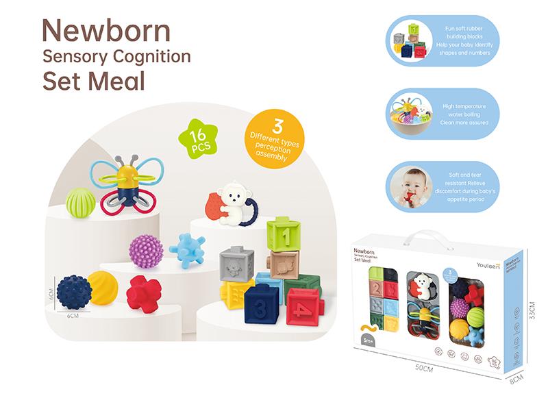 Newborn Sensory Cognition Set