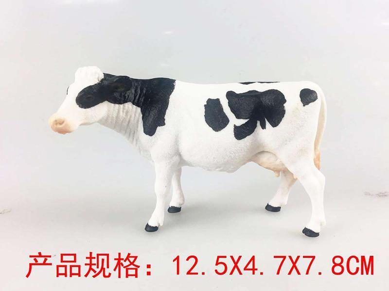 Holstein Cow