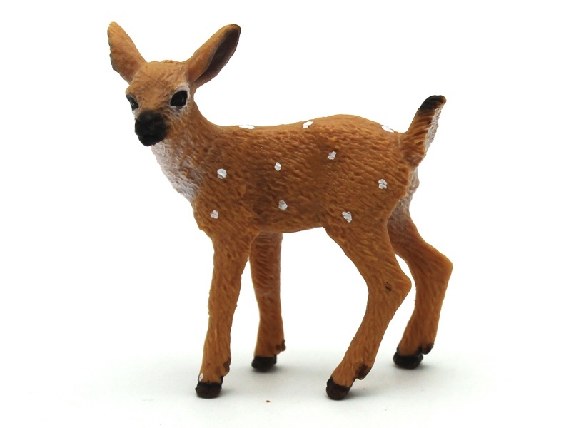 Little White-Tailed Deer (Thick-Faced)