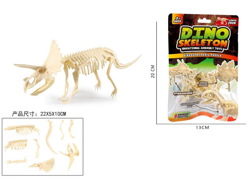 Assemble The Skeleton Of The Triceratops