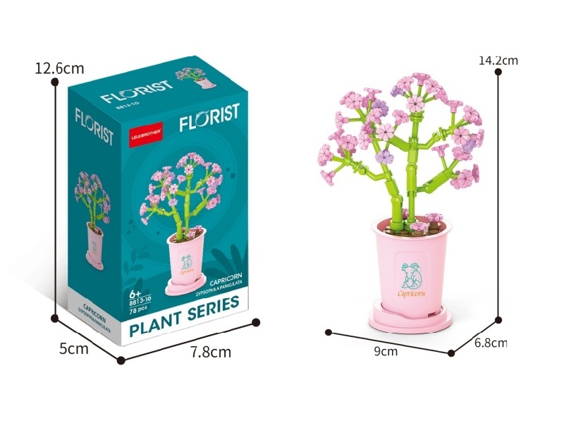 Capricorn Starry Sky 78Pcs