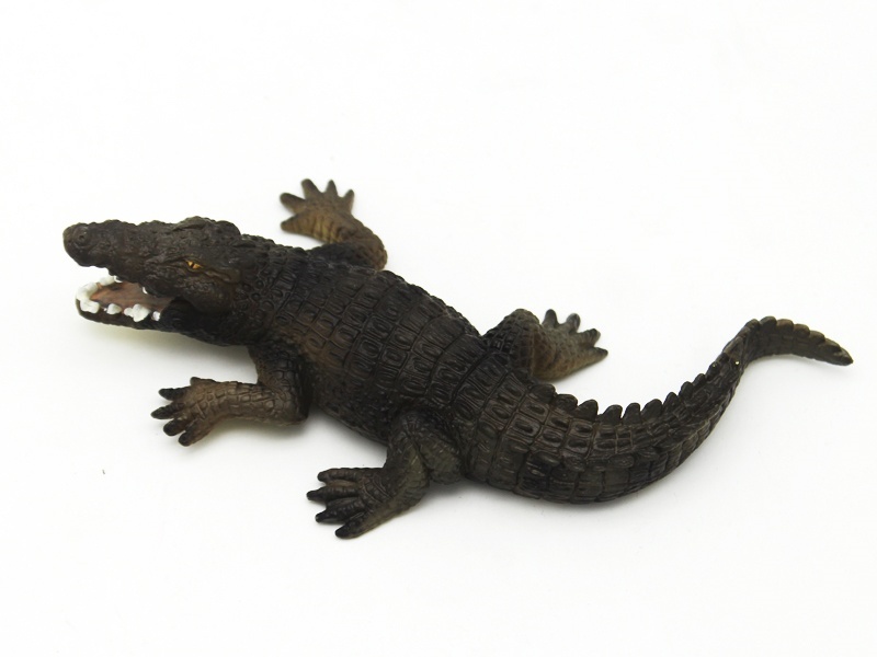 Crocodile