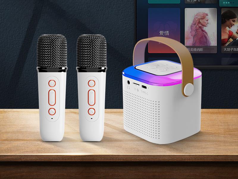 Wireless Bluetooth Portable Speaker(Double Microphone)Low-Level Configuration