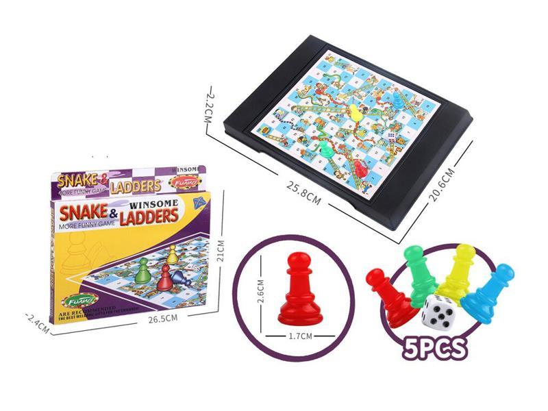 Magnetic International Snake Chess